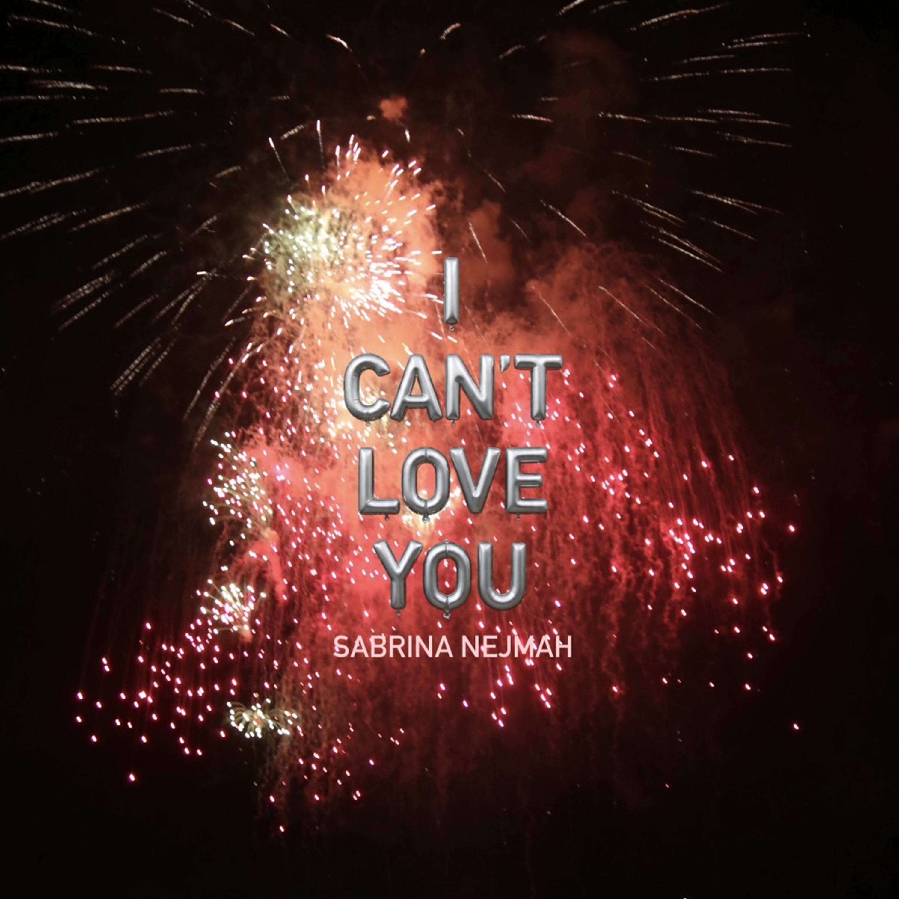I Can't Love You cover
